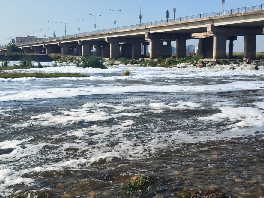 Dicle Nehri'nde "Beyaz köpük" alarmı! 7