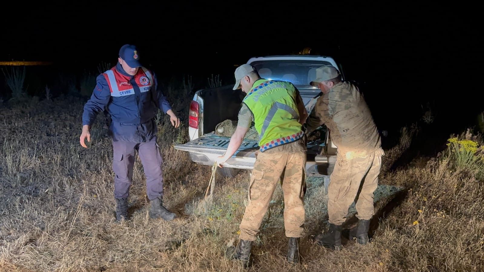 Van'da inci kefali denetimi