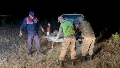 Van'da inci kefali denetimi