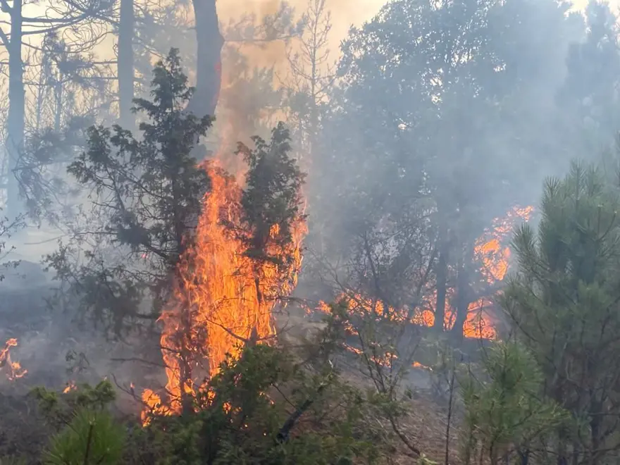 Eskişehir’de orman yangını 11
