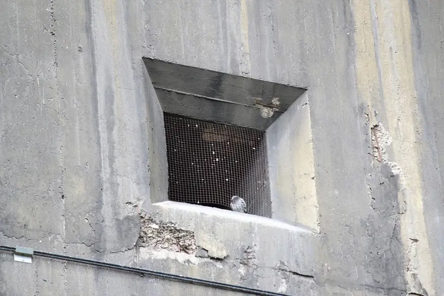 Hitler'in uçaksavar kuleleri 10