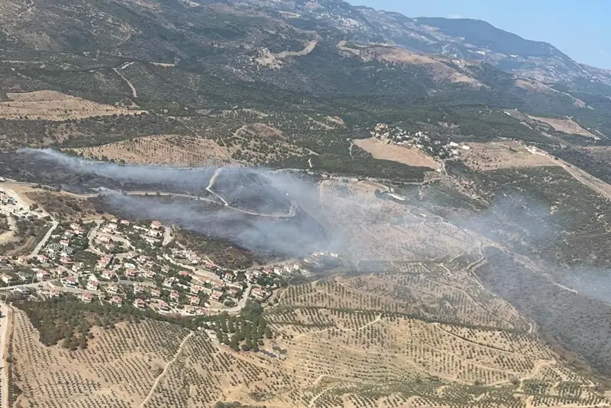Urla'da makilk alanda yangın 1
