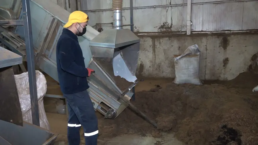 Rize'de çayın çöpü de değer kazandı: Gürcistan ve Almanya'ya satılıyor Rize'de çayın çöpü de değer kazandı: Gürcistan ve Almanya'ya satılıyor