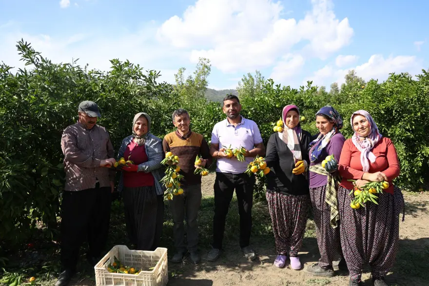 En ucuz meyve: 8 TL'ye kadar düştü 6