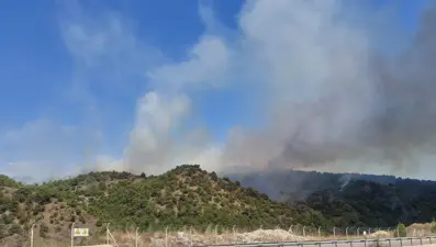 Tokat'ta orman yangını: 1 şüpheli gözaltında