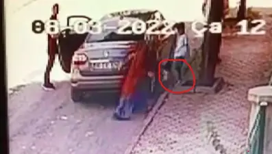 Yavru kediyi sokağa atan kadına 2 bin 724 lira ceza