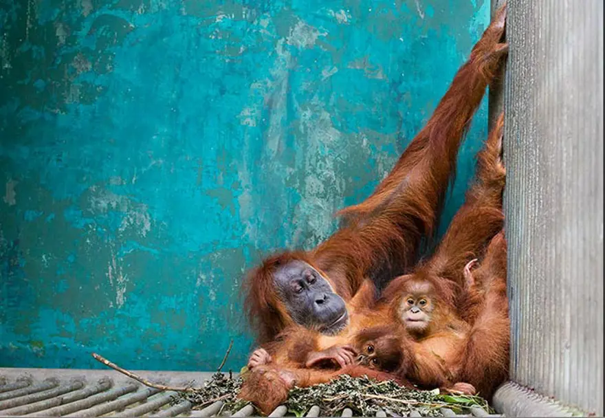 Haftanın kareleri: 21-27 Mayıs 22