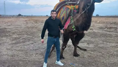 Devecilerin kavgası cinayetle bitti