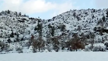 Isparta'da eski belde belediye başkanı arazide ölü bulundu