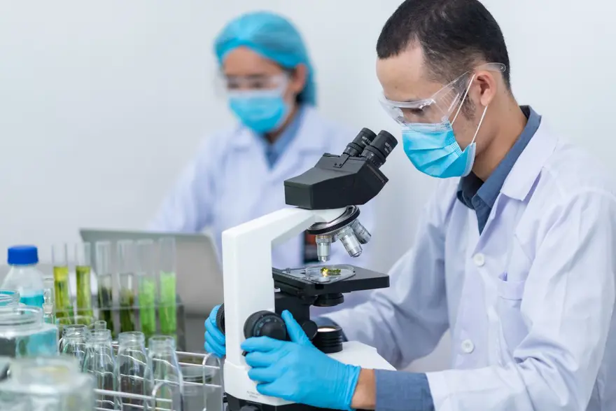 Dişi, erkek ve biseksüel: Üç farklı cinsiyete sahip tatlı su yosunu türü keşfedildi 4