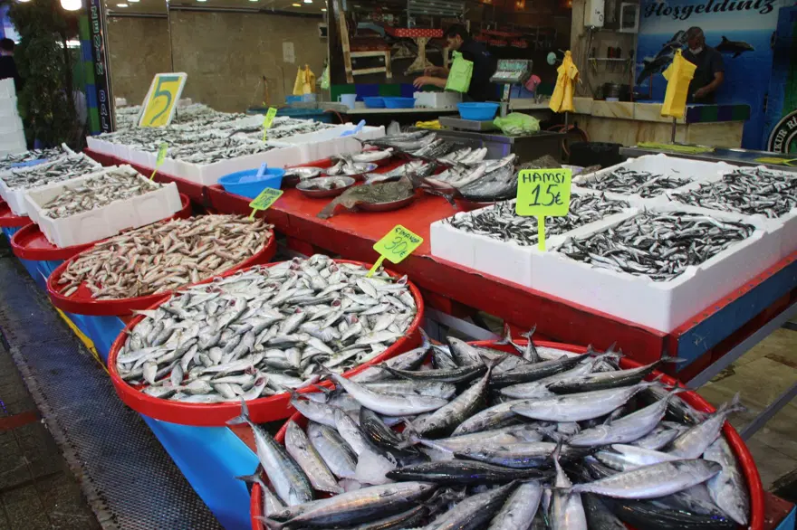 Rize’de kilo fiyatı 5 TL’ye düşen istavrit, kasayla satılıyor 8 Rize’de kilo fiyatı 5 TL’ye düşen istavrit, kasayla satılıyor 8