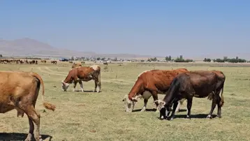 Arin Gölü kurudu: Büyük su sıkıntısı yaşanıyor