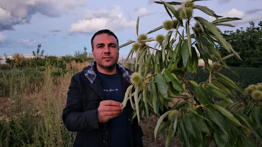 Doğu'nun soğuğunda yetiştirdi: Muşmula, dağ çileği, yer fıstığı... 3 Doğu'nun soğuğunda yetiştirdi: Muşmula, dağ çileği, yer fıstığı... 3