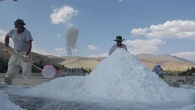 Dünyanın en sağlıklısı Erzincan'da üretiliyor: 40 derece sıcakta zorlu mesai
