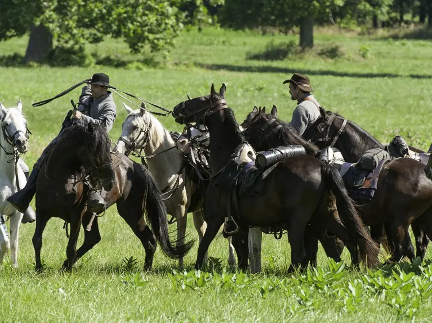 Amerikan İç Savaşı'nın dönüm noktası 74
