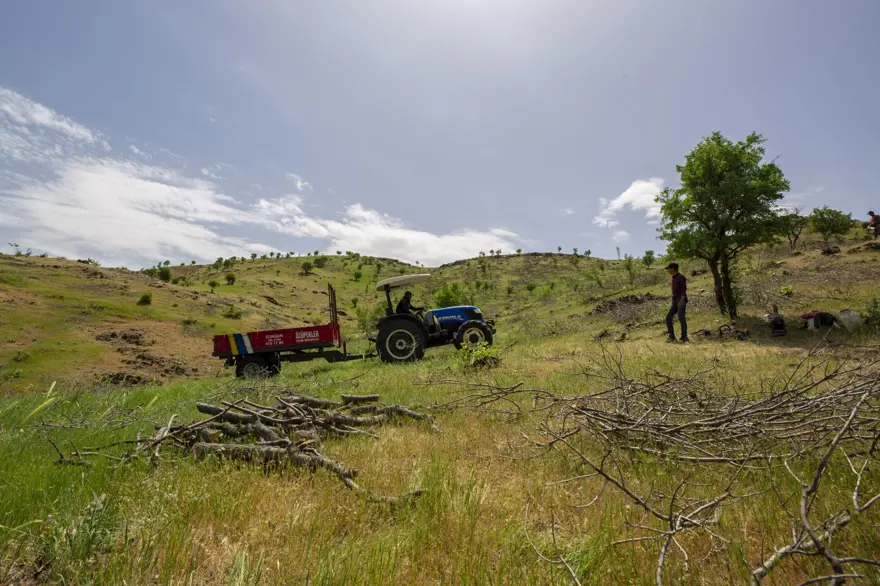 Ekmeklerini mangal kömüründen çıkarıyorlar 16