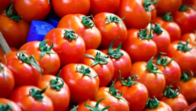 Salmonella salgınının kaynağı çeri domatesler mi?