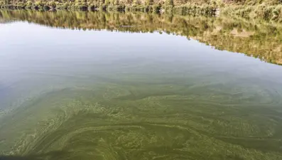 ODTÜ'den Eymir Gölü açıklaması