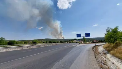 Kütahya ve Çanakkale’de orman yangını