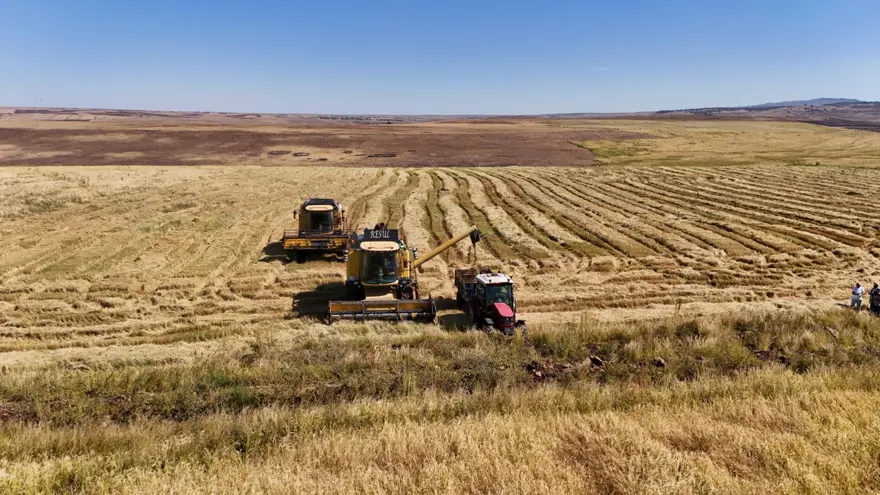 "GEÇEN SENE 130 TON VARDI, BU SENE 250 TON BEKLİYORUZ" 5