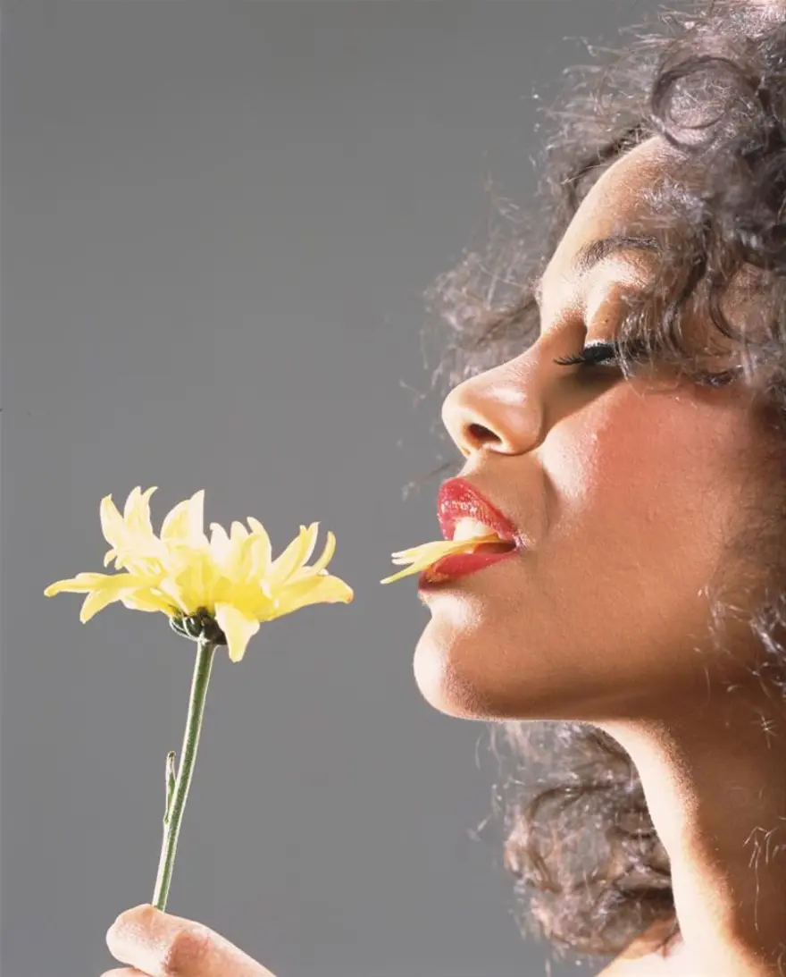 O artık bir yıldız 42 O artık bir yıldız 42