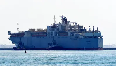 Uruguay’dan ithal edilen anguslar Mersin’e ulaştı