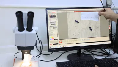 Kuraklık, sivrisinek popülasyonunu artırdı
