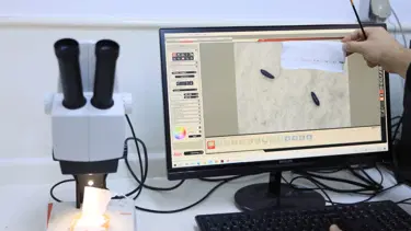 Kuraklık, sivrisinek popülasyonunu artırdı