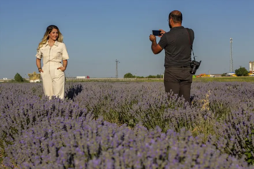 Diyarbakır'ın yeni cazibe merkezi: Lavanta bahçeleri 6