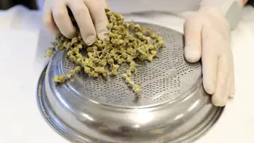 "İştah açıcı" olarak da kullanılıyor. Selçuklu saraylarından geldi, sabırla gerçek lezzetine ulaşıyor