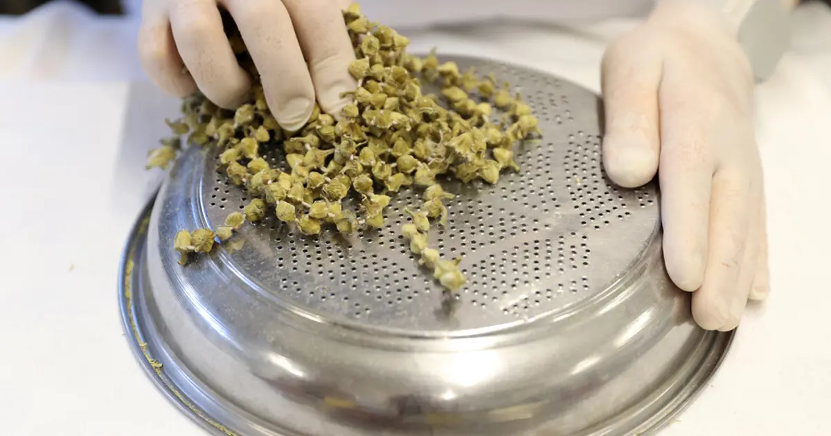 "İştah açıcı" olarak da kullanılıyor. Selçuklu saraylarından geldi, sabırla gerçek lezzetine ulaşıyor