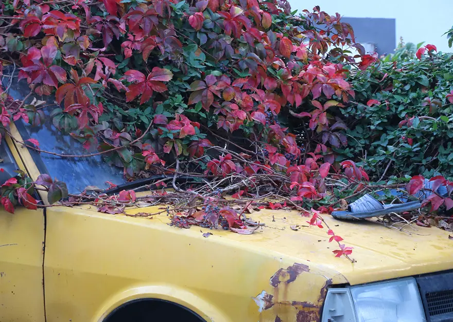 Haber: Sahibi ölen araba 8 yıldır aynı noktada…