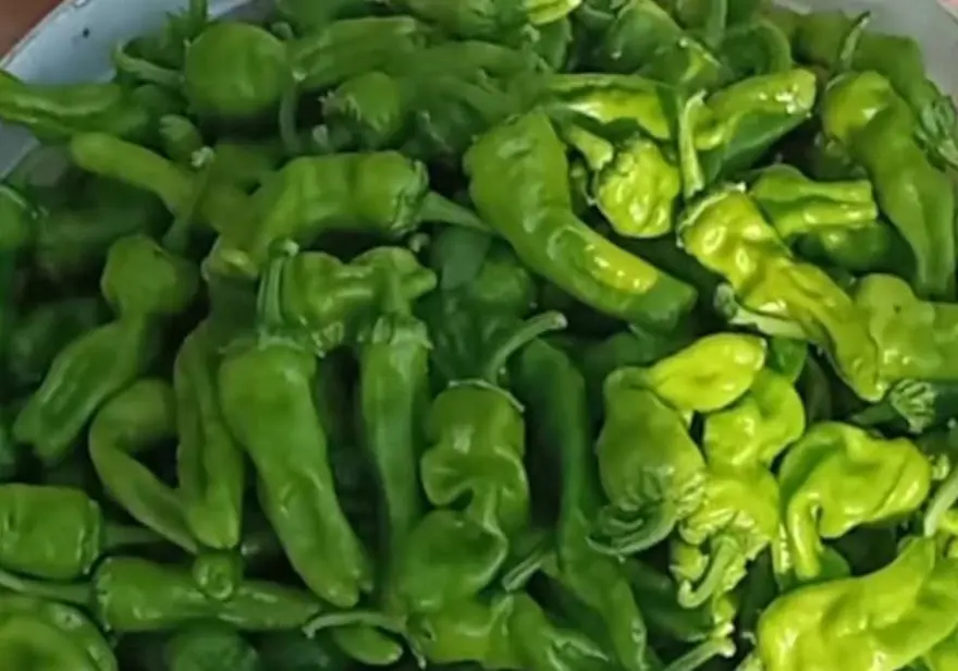 Market, pazar, manavda yerini aldı. 450 liradan alıcı buldu 2 Market, pazar, manavda yerini aldı. 450 liradan alıcı buldu 2