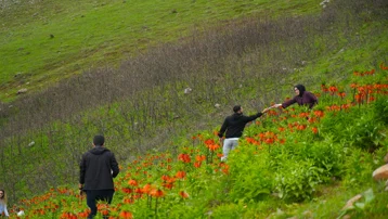 Ağlayan gelini koparana dudak uçuklatan ceza. Sıkı koruma altında