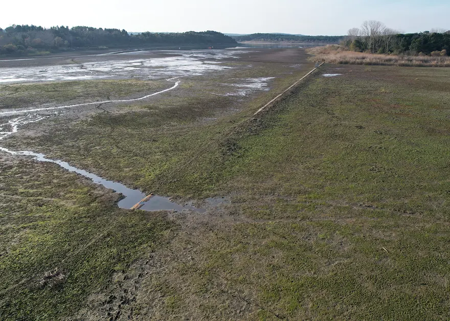 Terkos Gölü can çekişiyor 1
