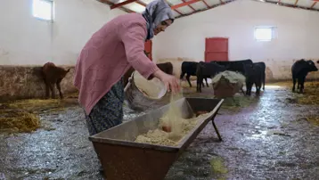 5 ayda sayıyı ikiye katladı. Sabah erkenden işe koyuluyor