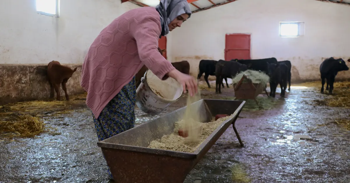 5 ayda sayıyı ikiye katladı. Sabah erkenden işe koyuluyor
