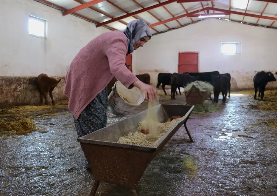 5 ayda sayıyı ikiye katladı. Sabah erkenden işe koyuluyor