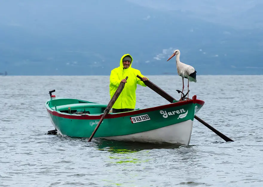 Türkiye'nin merakla beklediği Yaren Leylek geldi. Adem Amca ile Yaren'in buluşması 15. yılda da gerçekleşti | NTV Haber