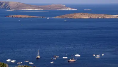 Türkiye'nin özel koruma bölgeleri güvence altında