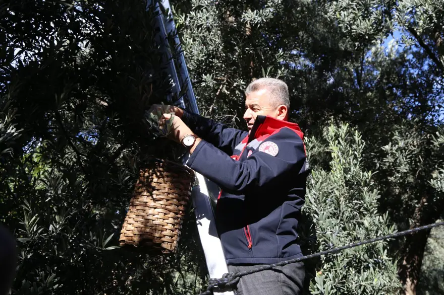 Dalından tek tek topladılar: "Üstün Lezzet Ödülü" kazanmıştı 