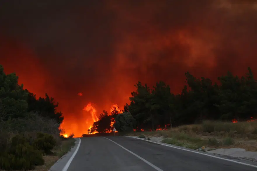 Türkiye orman yangınlarıyla mücadele ediyor: İzmir'de alevler evlere sıçradı, yüzlerce kişi tahliye edildi 2 Türkiye orman yangınlarıyla mücadele ediyor: İzmir'de alevler evlere sıçradı, yüzlerce kişi tahliye edildi 2