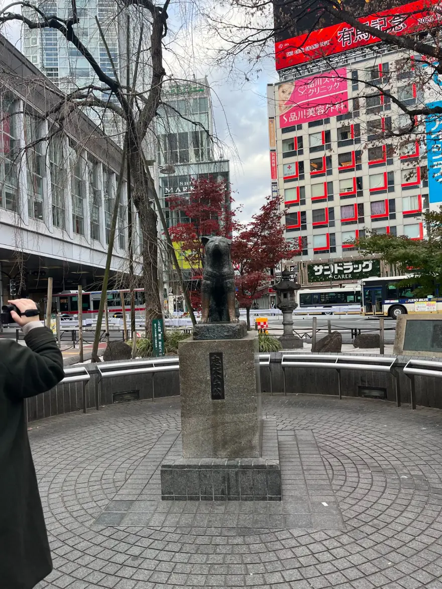 Tokyo'da gençlerin gözdesi: Yavru köpekli kafeler 6 Tokyo'da gençlerin gözdesi: Yavru köpekli kafeler 6