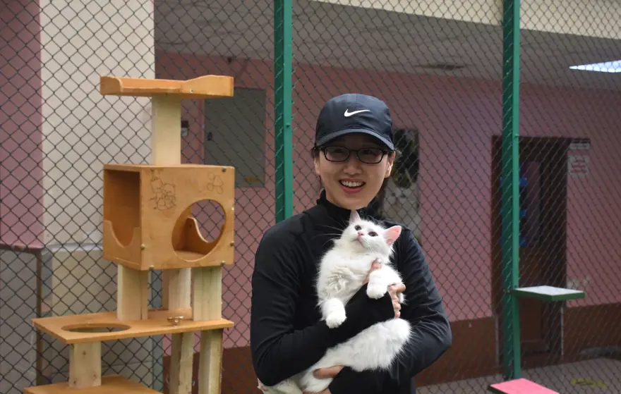 Van kedileri için koruma projesi: Yavru sayıları her yıl artacak 6 Van kedileri için koruma projesi: Yavru sayıları her yıl artacak 6