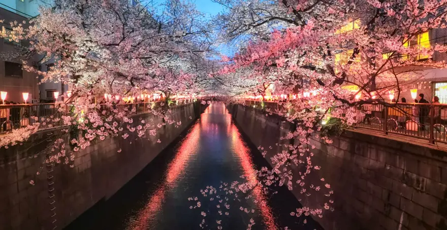 Tokyo - Lost in Translation 3 Tokyo - Lost in Translation 3