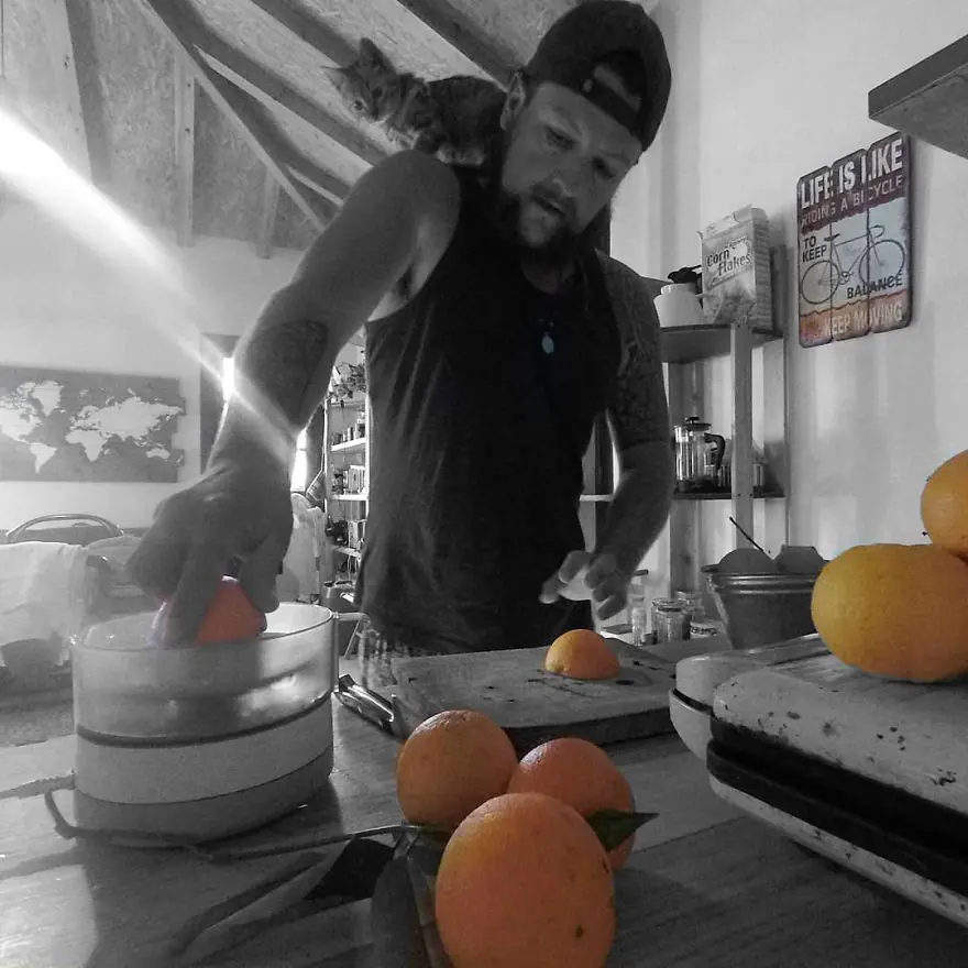 Yolda bulduğu kediyle dünya turu yaptı 18