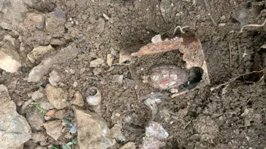 Bahçesini temizlerken el bombası buldu