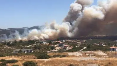 Aydın'daki maki yangınını çıkaran 3 şüpheli tutuklandı