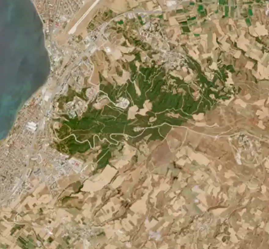 "SINIFLANDIRMIŞ OLDUK" 2