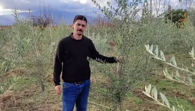 Son yıllarda dikimi yaygınlaştı: Litresi 500 TL'ye satılıyor